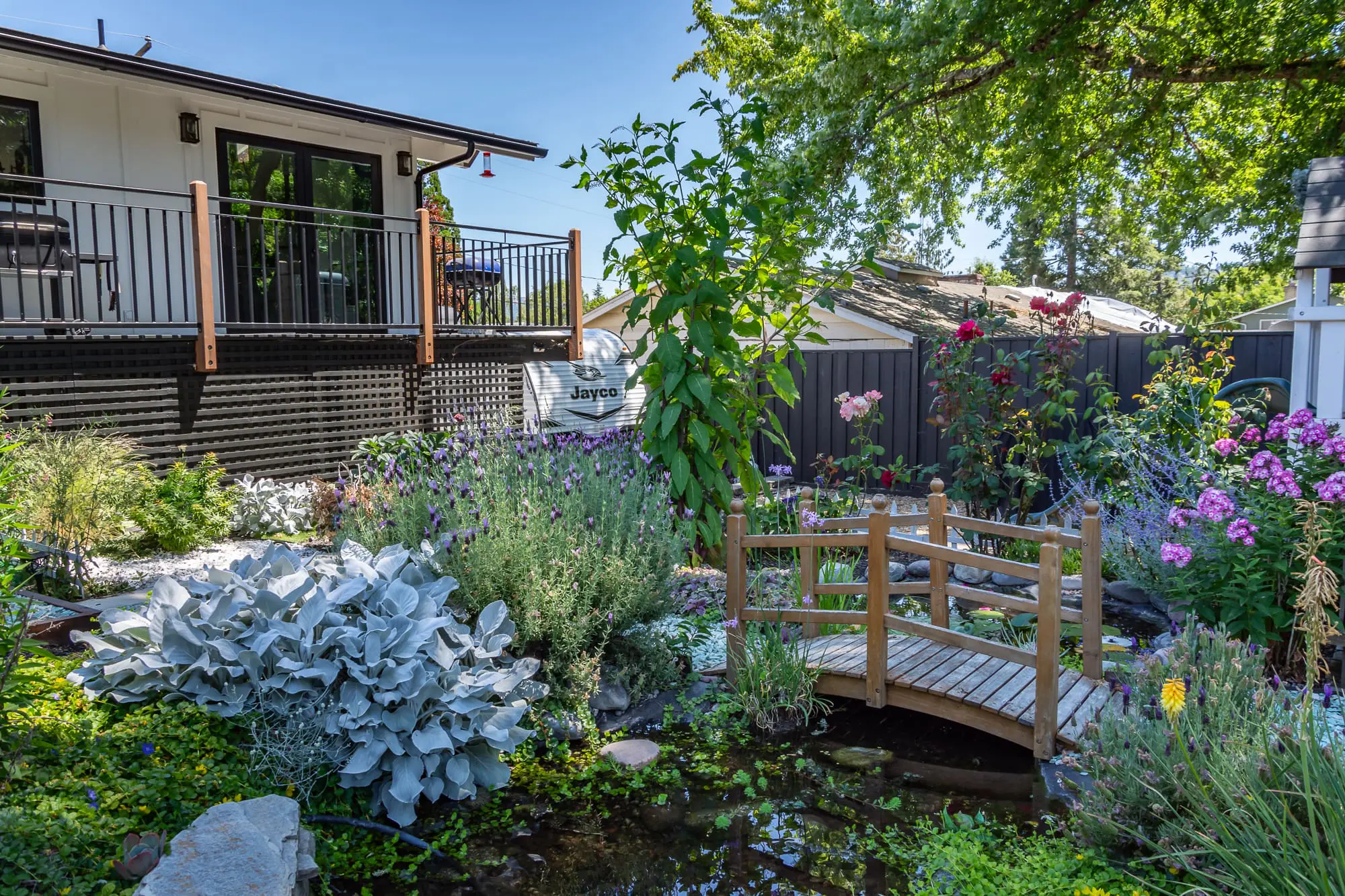 Backyard & Pond