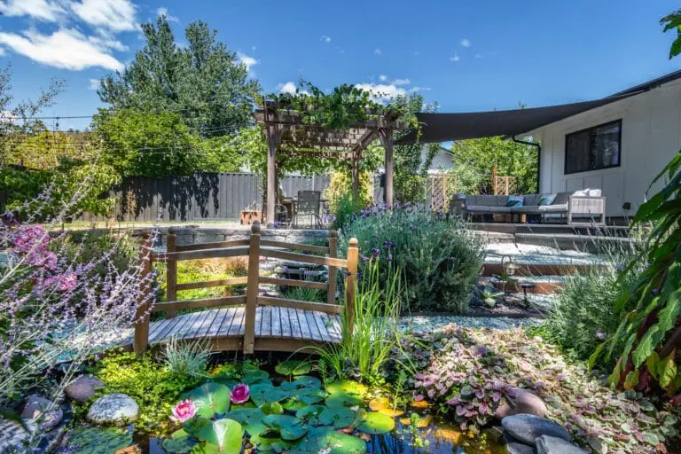 backyard garden with bridge and pergola