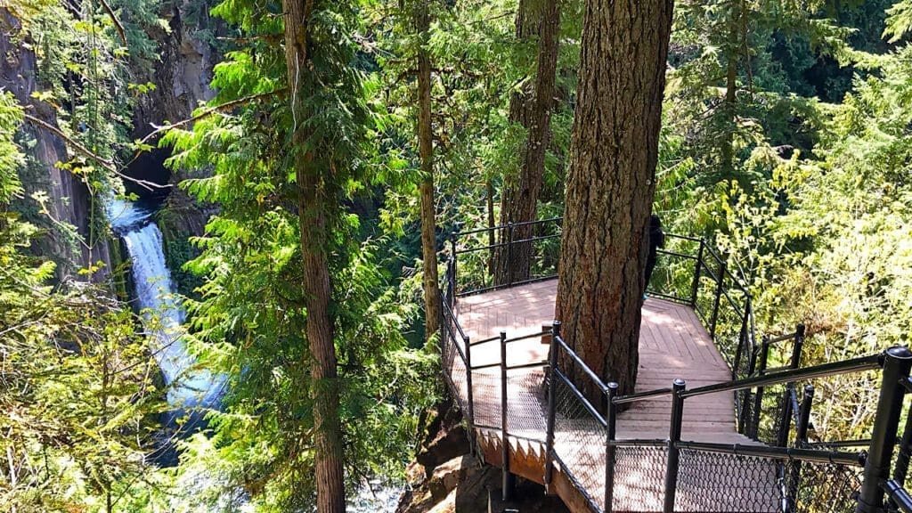 Platform overlooking Toketee Falls