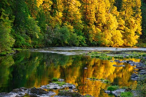 river with fall colored trees on the bank